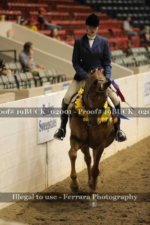 Proof 19BUCK_02001