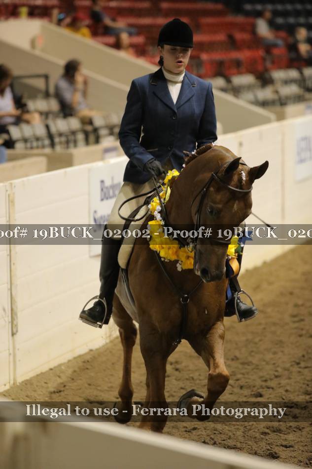 Proof 19BUCK_02002