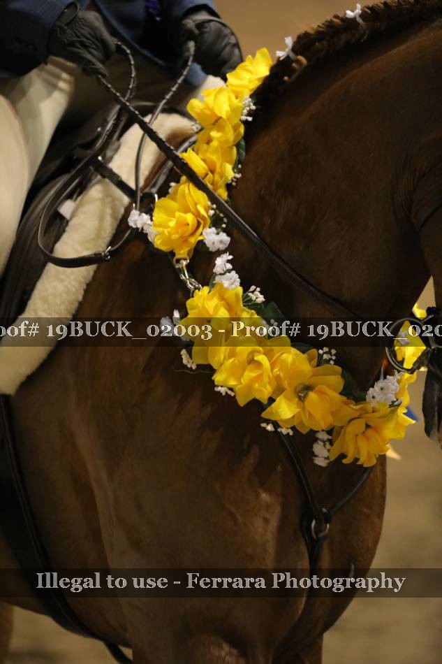 Proof 19BUCK_02003