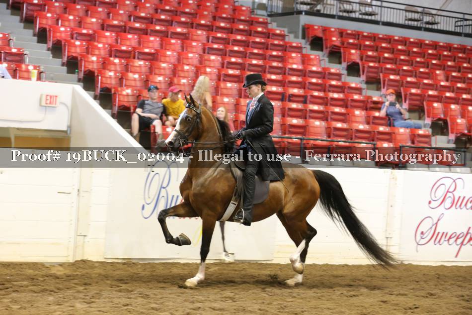 Proof 19BUCK_02004