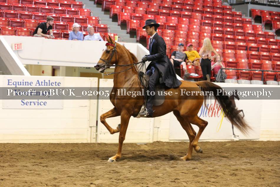 Proof 19BUCK_02005