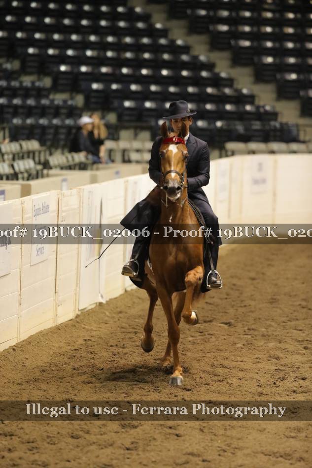Proof 19BUCK_02006