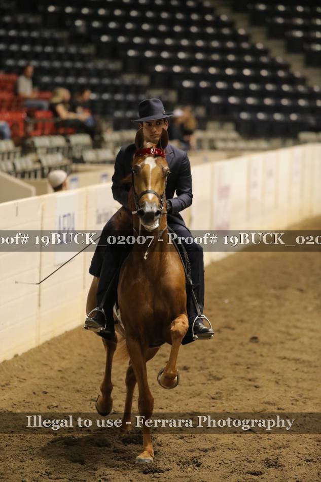 Proof 19BUCK_02007