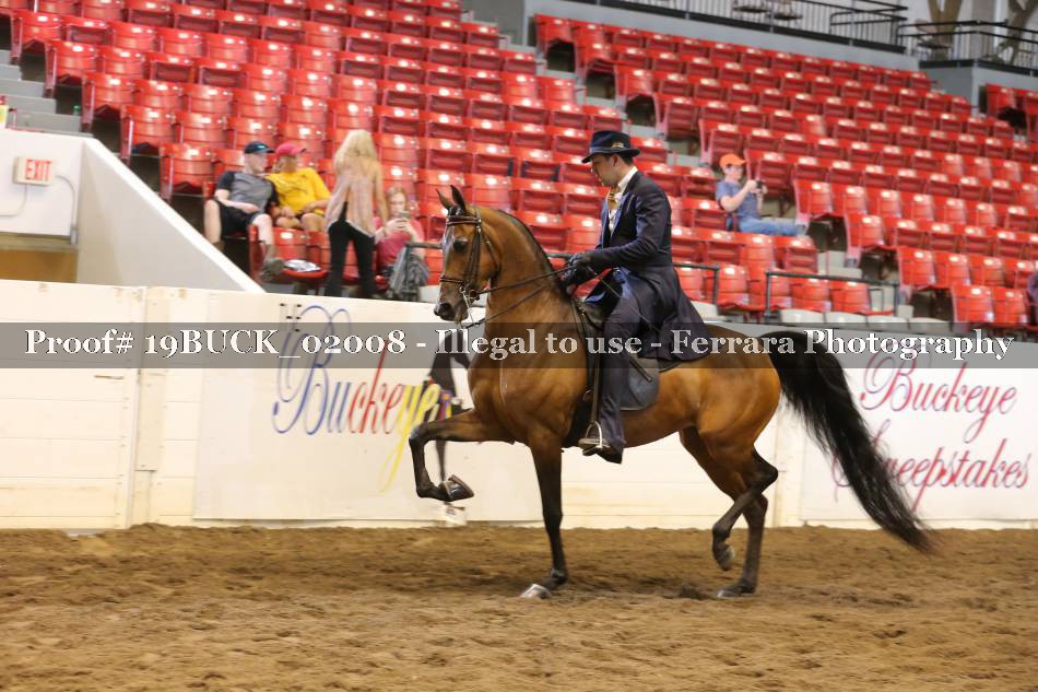 Proof 19BUCK_02008