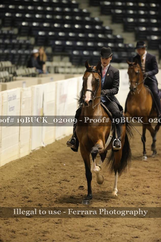 Proof 19BUCK_02009