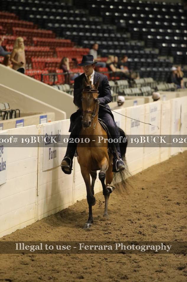 Proof 19BUCK_02010