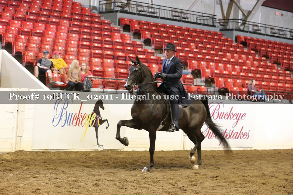 Proof 19BUCK_02011