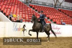 19BUCK_02011 proof