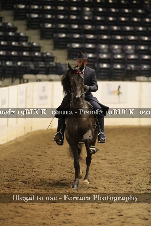 Proof 19BUCK_02012