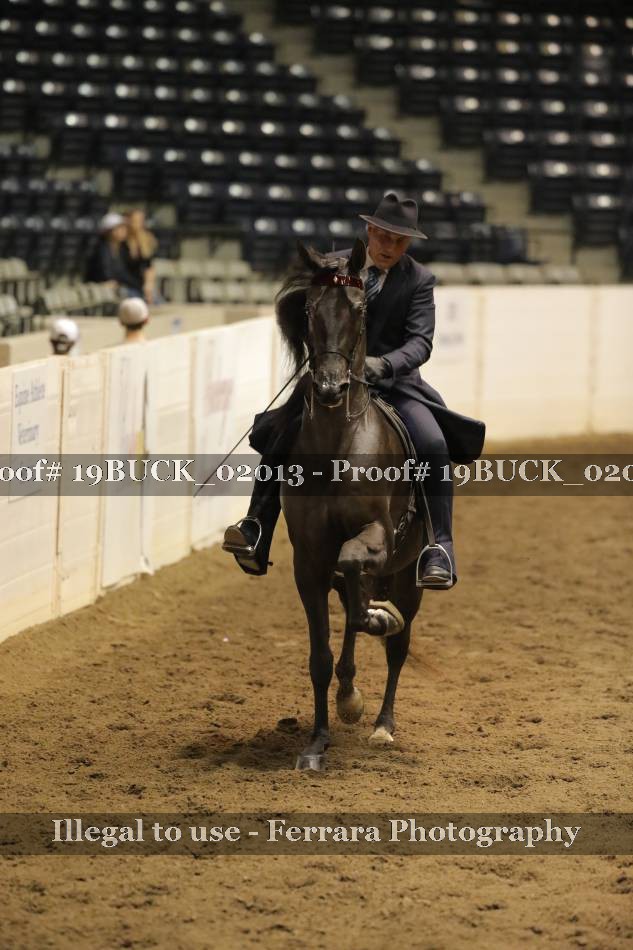 Proof 19BUCK_02013
