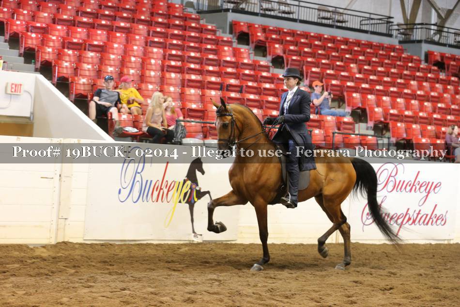 Proof 19BUCK_02014