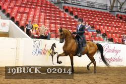 19BUCK_02014 proof