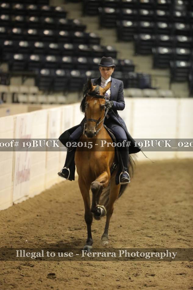 Proof 19BUCK_02015
