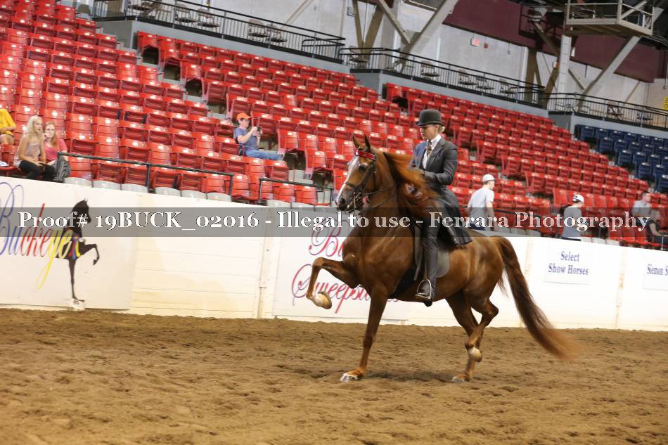 Proof 19BUCK_02016