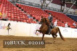 19BUCK_02016 proof