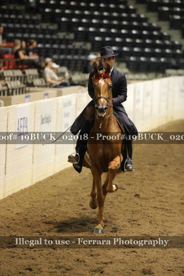 Proof 19BUCK_02018