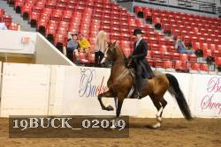 19BUCK_02019 proof