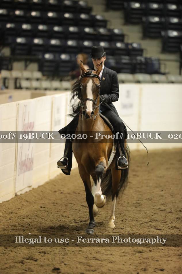 Proof 19BUCK_02020