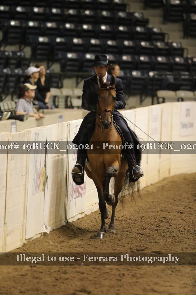 Proof 19BUCK_02021