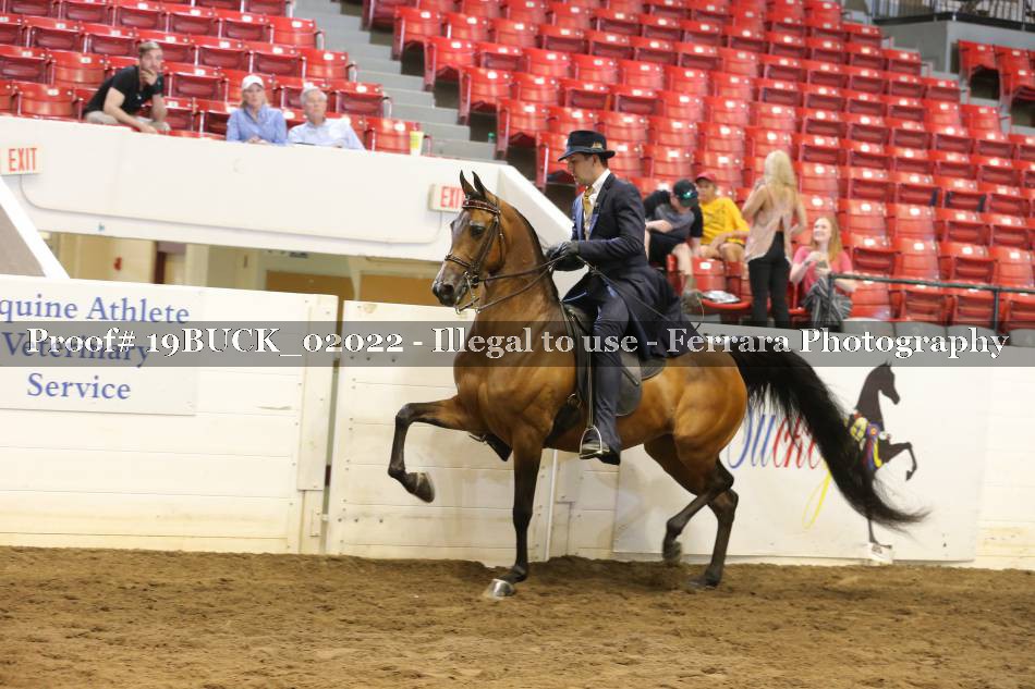 Proof 19BUCK_02022