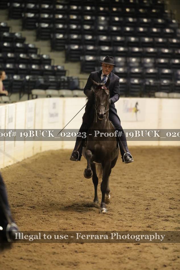 Proof 19BUCK_02023