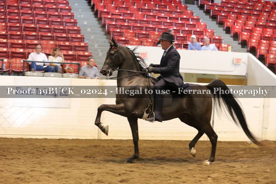 Proof 19BUCK_02024