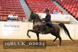 19BUCK_02024 proof