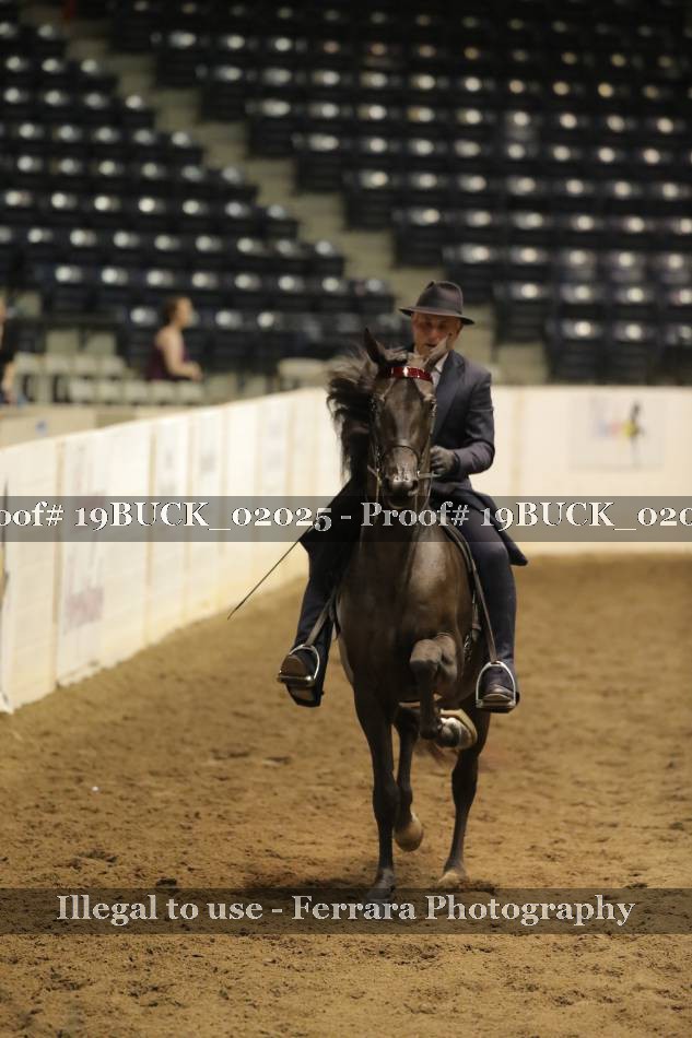 Proof 19BUCK_02025