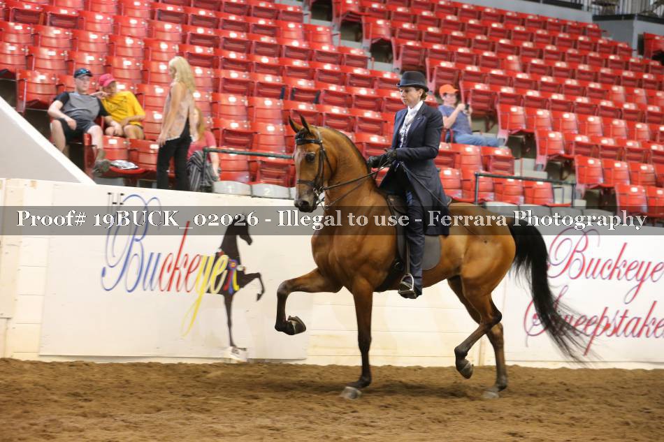 Proof 19BUCK_02026