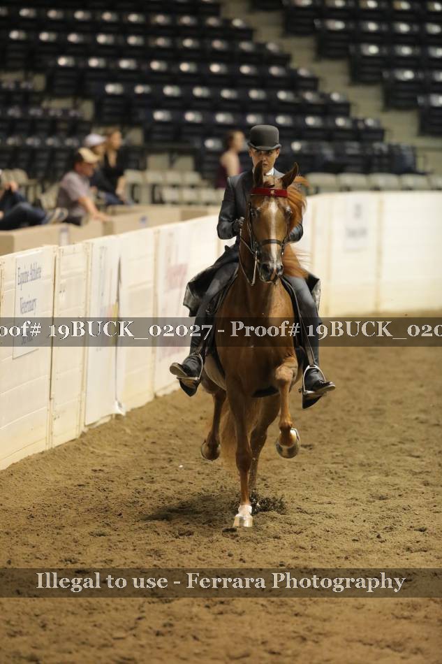 Proof 19BUCK_02027