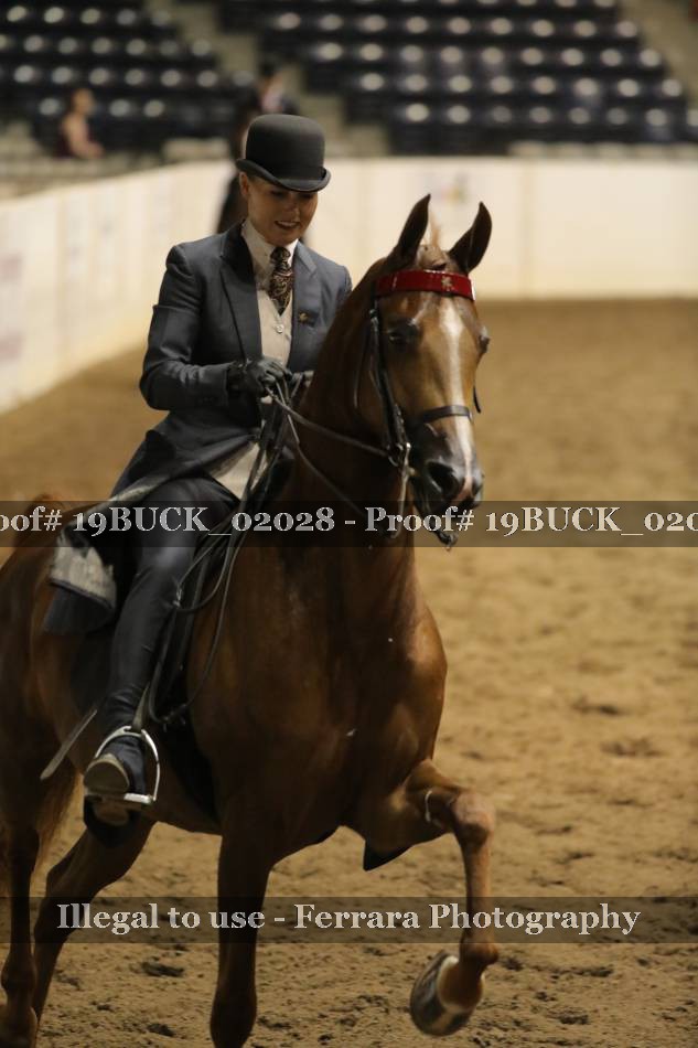 Proof 19BUCK_02028