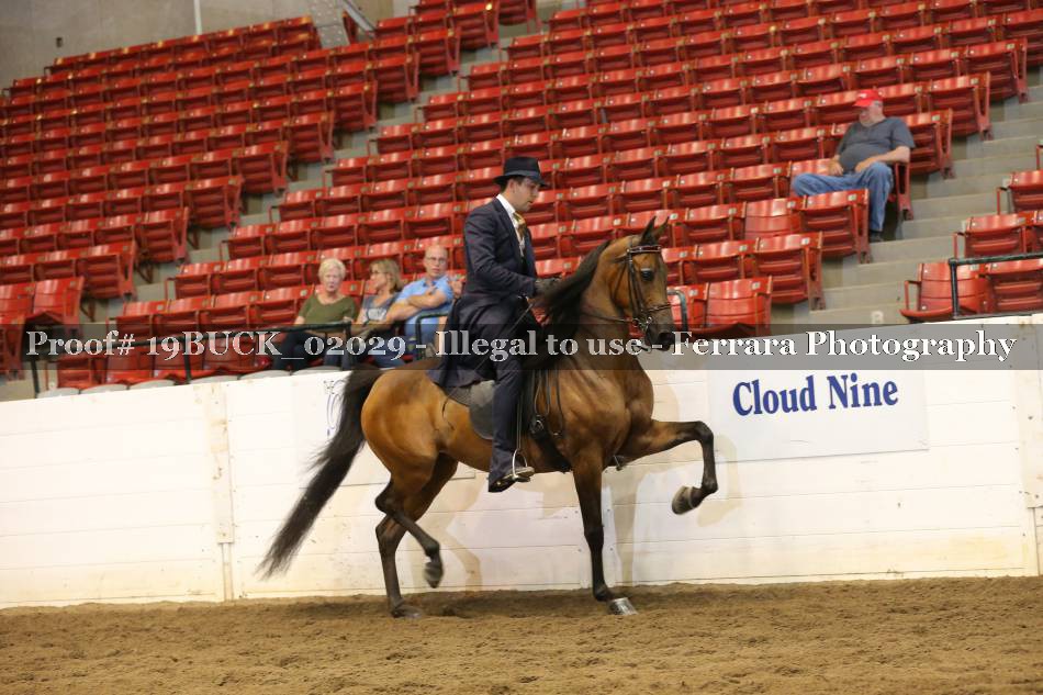 Proof 19BUCK_02029