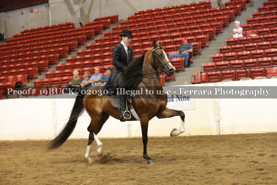 Proof 19BUCK_02030