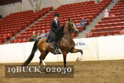 19BUCK_02030 proof