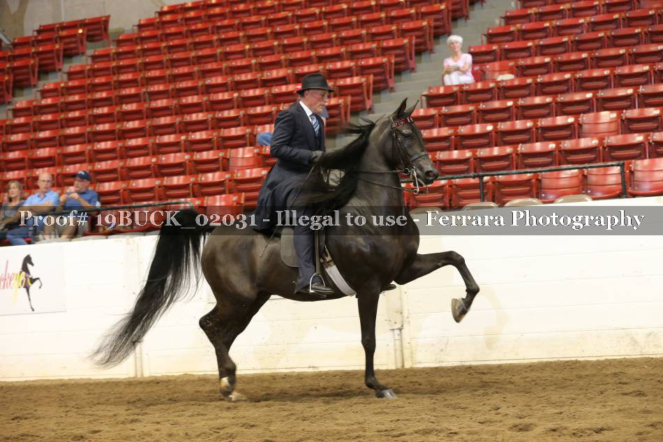 Proof 19BUCK_02031