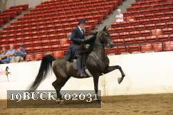 19BUCK_02031 proof