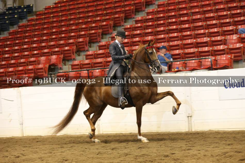Proof 19BUCK_02032