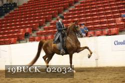 19BUCK_02032 proof