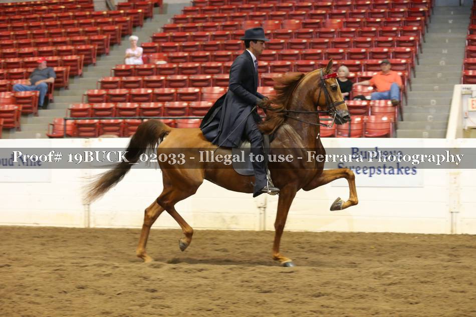 Proof 19BUCK_02033