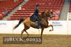 19BUCK_02033 proof