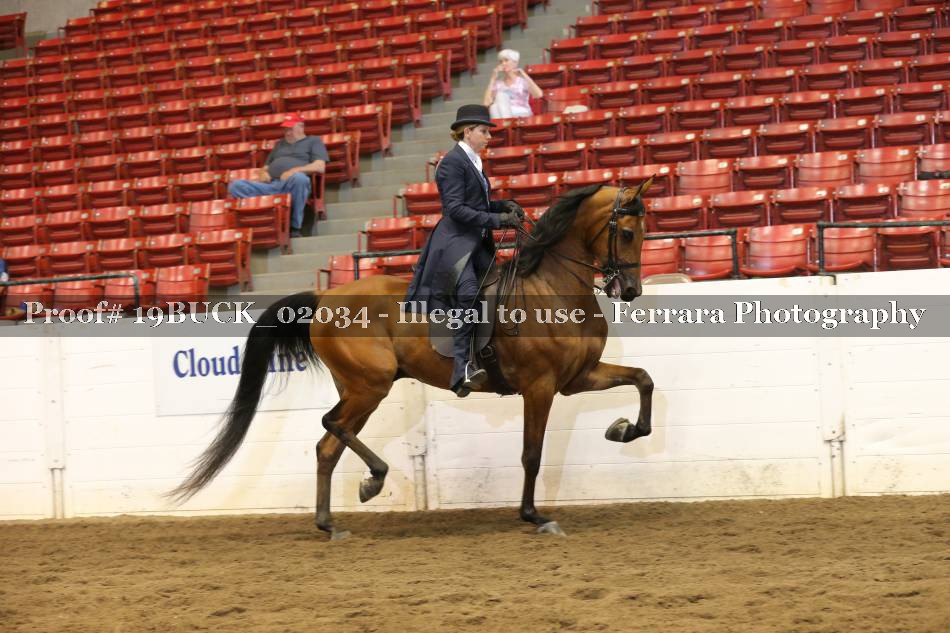 Proof 19BUCK_02034