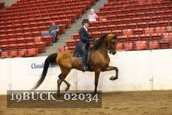 19BUCK_02034 proof
