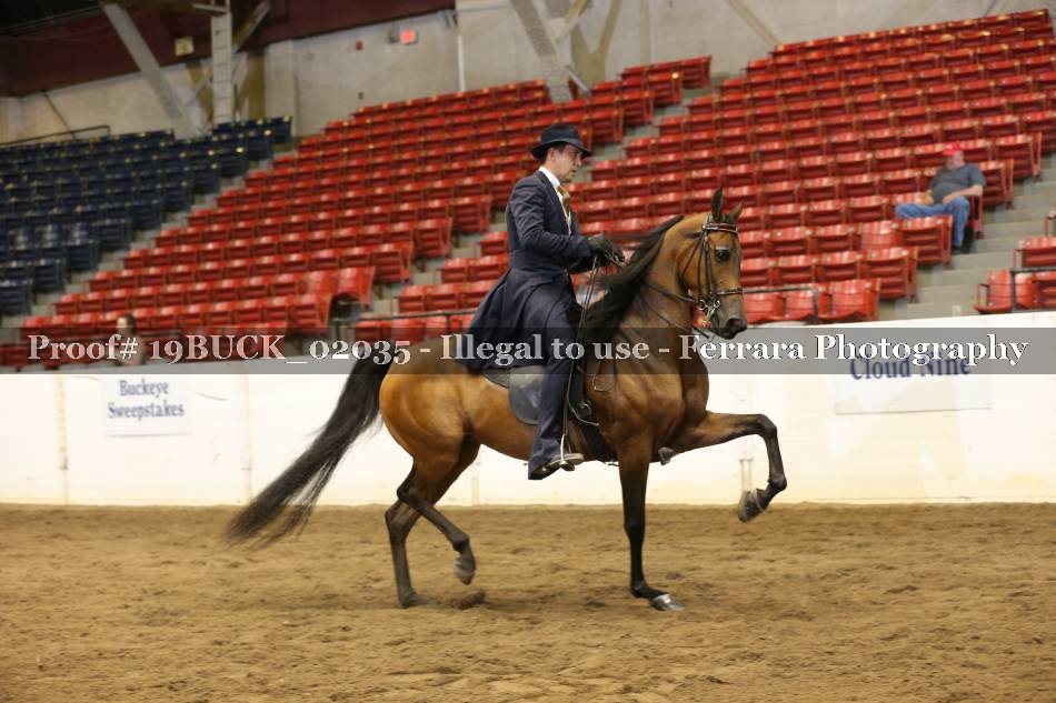 Proof 19BUCK_02035