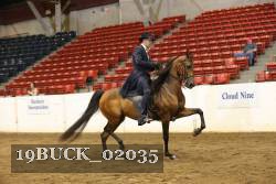 19BUCK_02035 proof