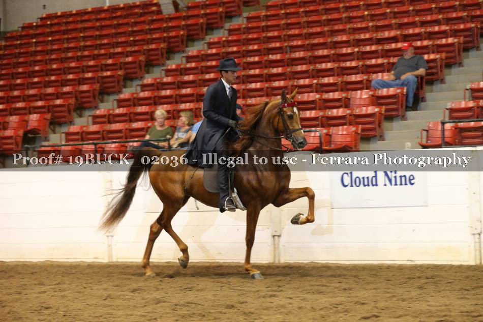 Proof 19BUCK_02036