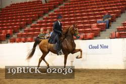 19BUCK_02036 proof