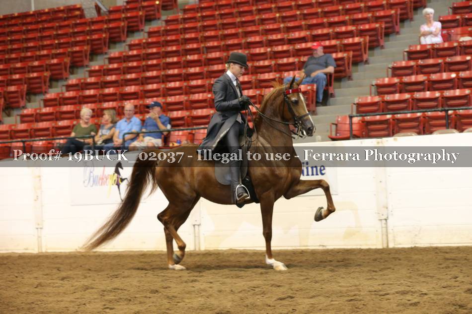 Proof 19BUCK_02037