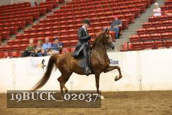 19BUCK_02037 proof
