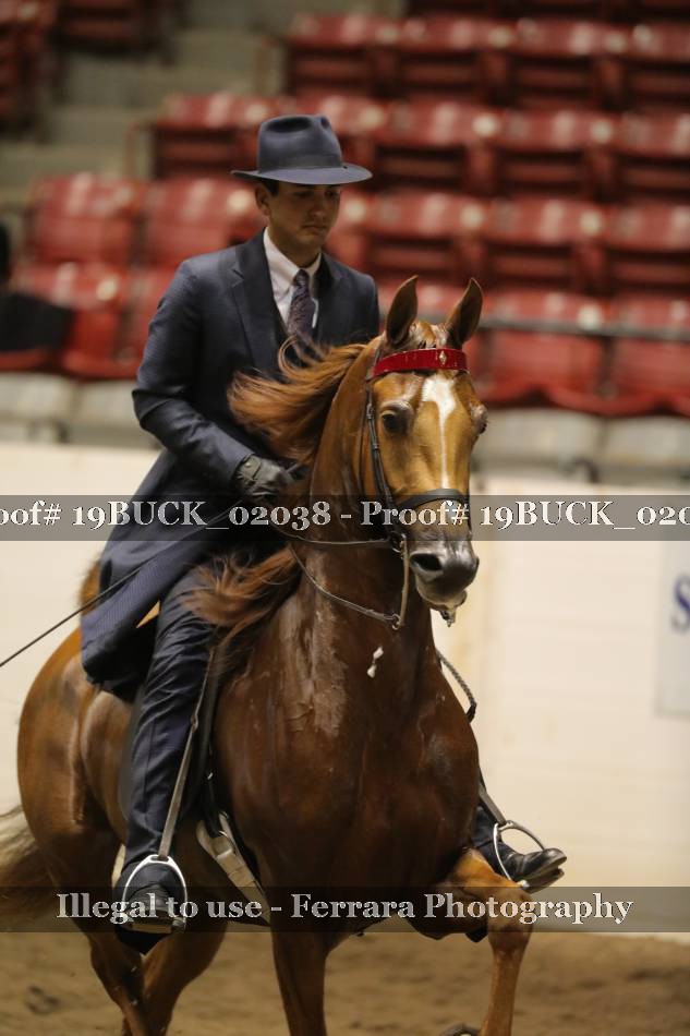 Proof 19BUCK_02038