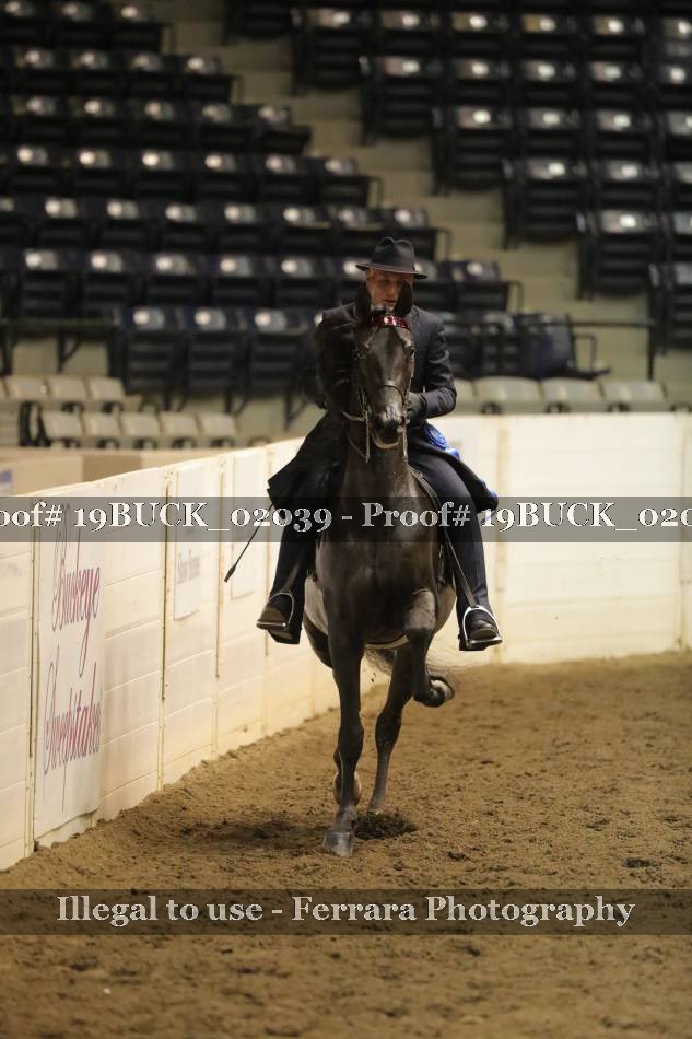 Proof 19BUCK_02039
